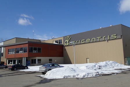 Tricentris